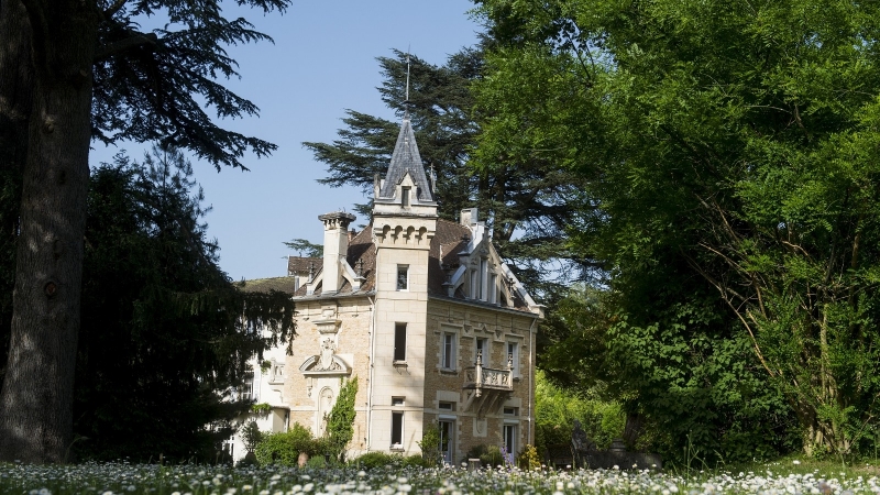 18th Century Castle for Sale in NIVOLAS-VERMELLE, 38300, France